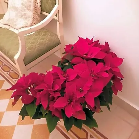 Bed & Breakfast Casa Mireio Modica
