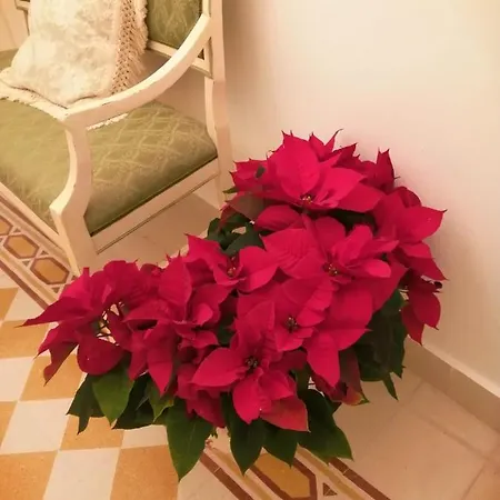 Casa Mireio 3*